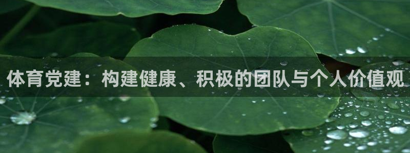谈球吧：体育党建：构建健康、积极的团队与个人价值观