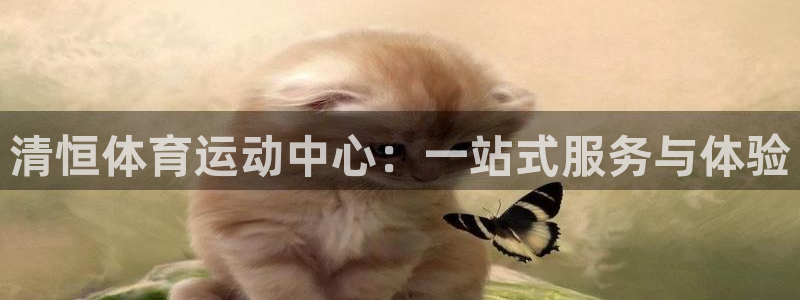 谈球吧：清恒体育运动中心：一站式服务与体验