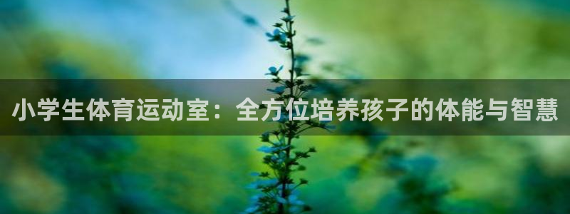 谈球吧体育官网：小学生体育运动室：全方位培养孩子的体能与智慧