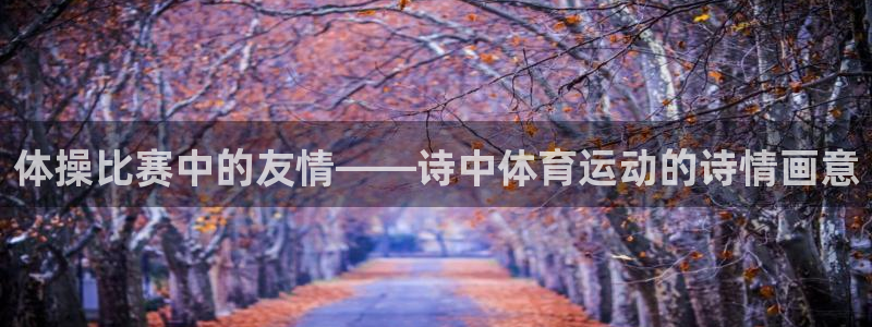 谈球吧：体操比赛中的友情——诗中体育运动的诗情画意