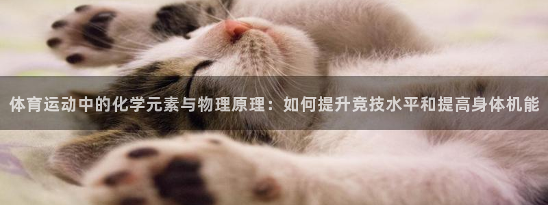 谈球吧体育官网：体育运动中的化学元素与物理原理：如何提升竞技水平和提高身体机能