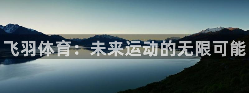 谈球吧：飞羽体育：未来运动的无限可能